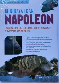 Budidaya Ikan Napoleon : Pemilihan Induk, Pemijahan, dan Pembesaran di Keramba Jaring Apung